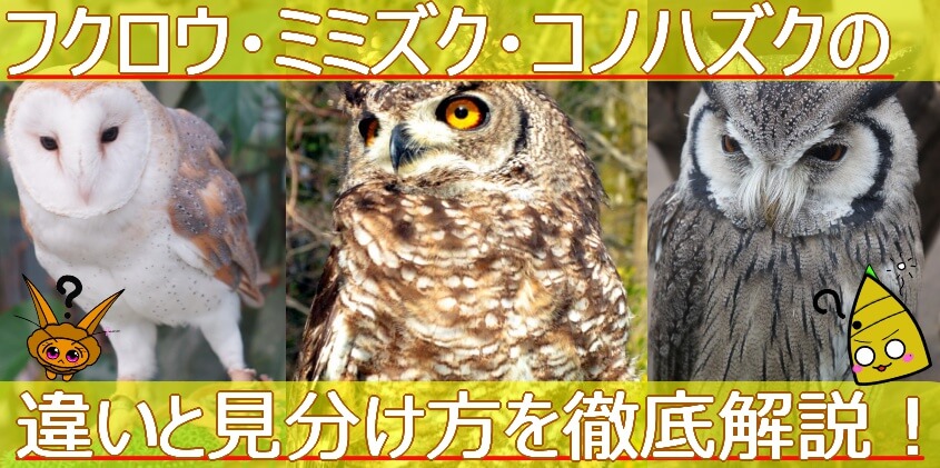 Thumbnail of post image 008